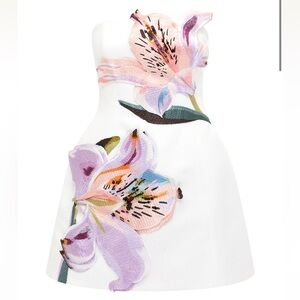 Leo Lin Rosario Floral Mini Dress Sz 4